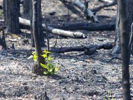 brüssel weitgehend isoliert: eu will bei umweltpolitik mehr druck aufbauen